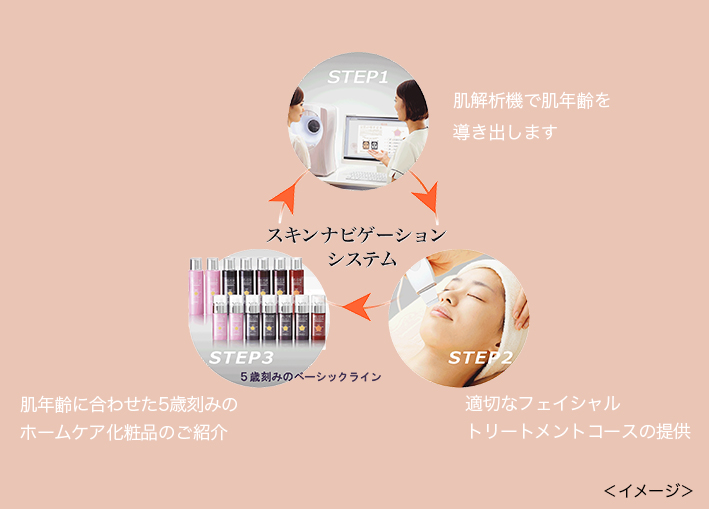 スキンナビゲーションシステムの流れ